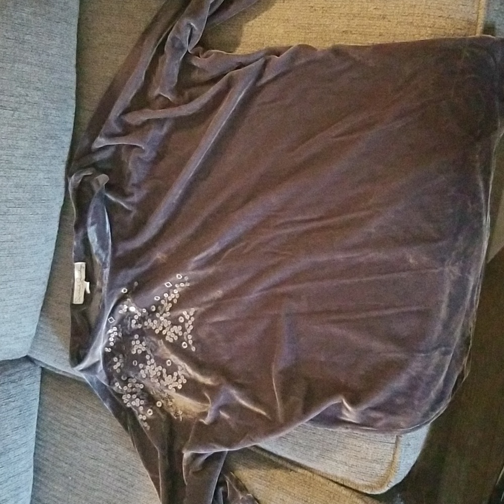 French Laundry Velvet Top